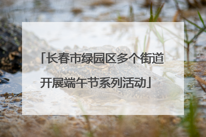 长春市绿园区多个街道开展端午节系列活动