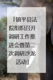 镇平县法院组织召开调研工作推进会暨第二次调研沙龙活动