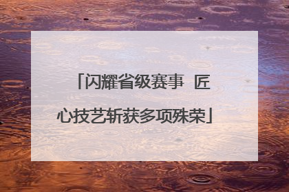 闪耀省级赛事  匠心技艺斩获多项殊荣