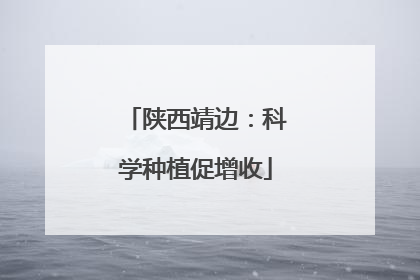陕西靖边：科学种植促增收