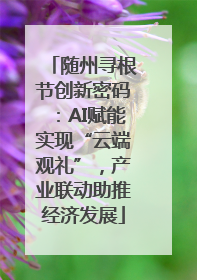 随州寻根节创新密码：AI赋能实现“云端观礼”，产业联动助推经济发展