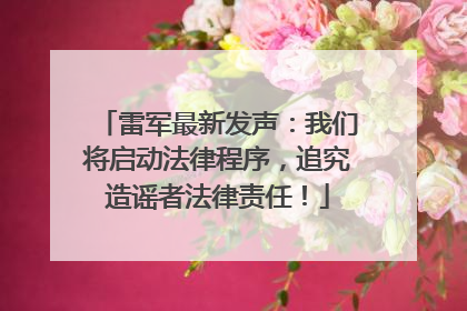 雷军最新发声：我们将启动法律程序，追究造谣者法律责任！