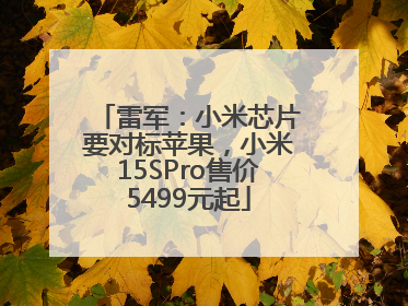 雷军：小米芯片要对标苹果，小米15SPro售价5499元起