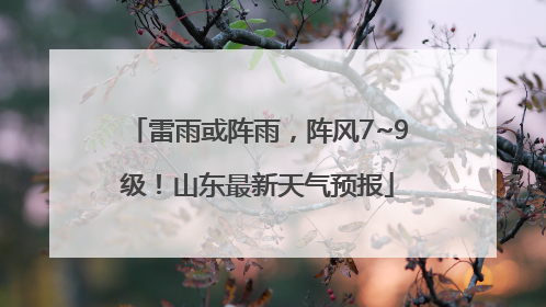 雷雨或阵雨，阵风7~9级！山东最新天气预报