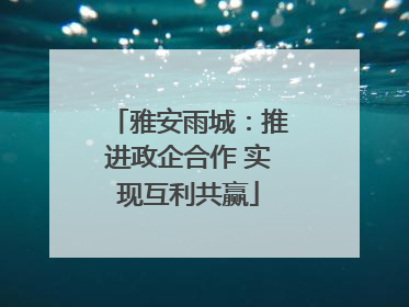 雅安雨城：推进政企合作 实现互利共赢