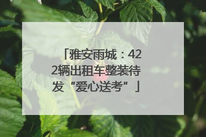雅安雨城：422辆出租车整装待发“爱心送考”