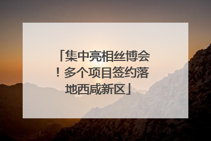 集中亮相丝博会！多个项目签约落地西咸新区