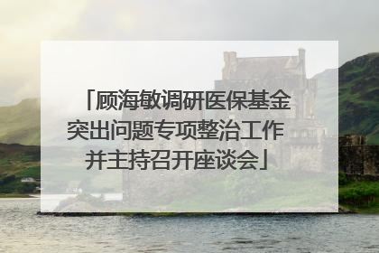 顾海敏调研医保基金突出问题专项整治工作并主持召开座谈会