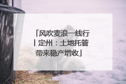 风吹麦浪一线行丨定州：土地托管带来稳产增收