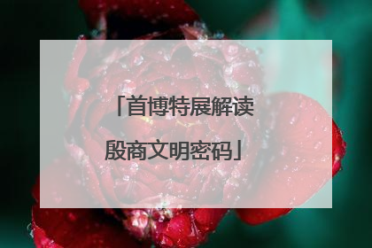 首博特展解读殷商文明密码
