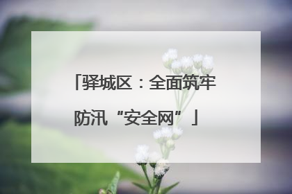驿城区：全面筑牢防汛“安全网”