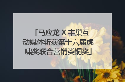 马应龙 X 丰巢互动媒体斩获第十六届虎啸奖联合营销类铜奖