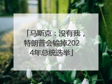 马斯克：没有我，特朗普会输掉2024年总统选举