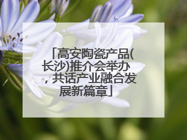 高安陶瓷产品(长沙)推介会举办，共话产业融合发展新篇章