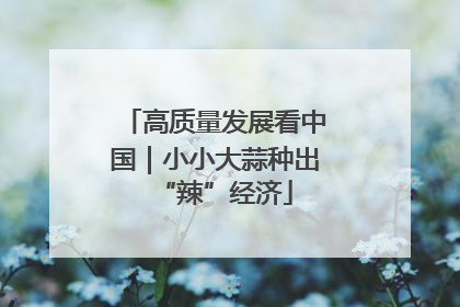 高质量发展看中国｜小小大蒜种出“辣”经济