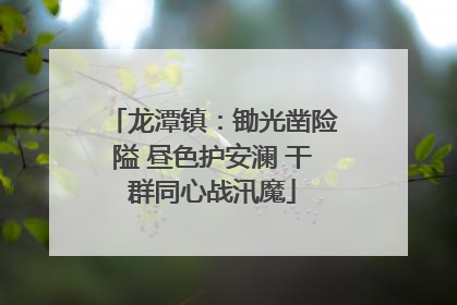 龙潭镇：锄光凿险隘 昼色护安澜 干群同心战汛魔