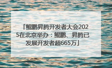 鲲鹏昇腾开发者大会2025在北京举办：鲲鹏、昇腾已发展开发者超665万