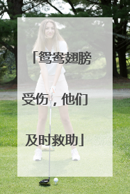 鸳鸯翅膀受伤，他们及时救助