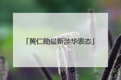 黄仁勋最新涉华表态