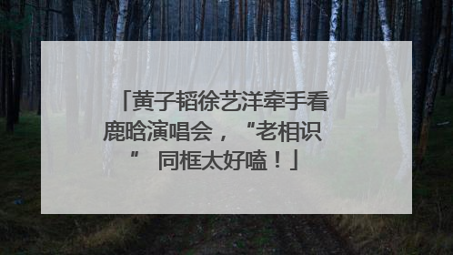 黄子韬徐艺洋牵手看鹿晗演唱会，“老相识” 同框太好嗑！