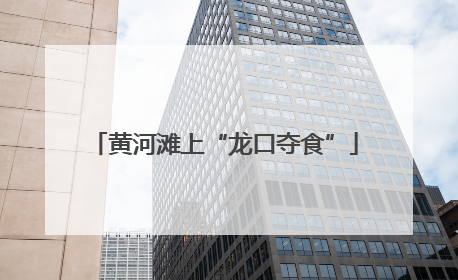 黄河滩上“龙口夺食”