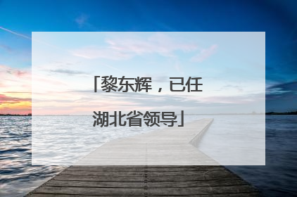黎东辉，已任湖北省领导