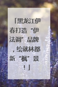 黑龙江伊春打造“伊法调”品牌，绘就林都新“枫”景！