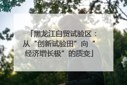 黑龙江自贸试验区：从“创新试验田”向“经济增长极”的质变