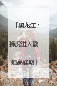 黑龙江：狮虎进入繁殖高峰期