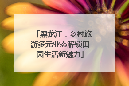 黑龙江：乡村旅游多元业态解锁田园生活新魅力