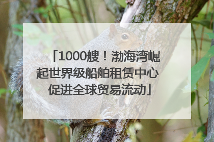 1000艘！渤海湾崛起世界级船舶租赁中心 促进全球贸易流动