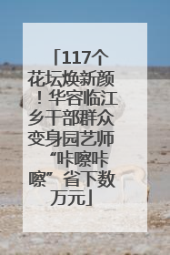 117个花坛焕新颜！华容临江乡干部群众变身园艺师 “咔嚓咔嚓”省下数万元