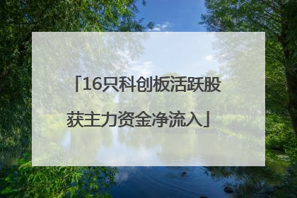 16只科创板活跃股获主力资金净流入