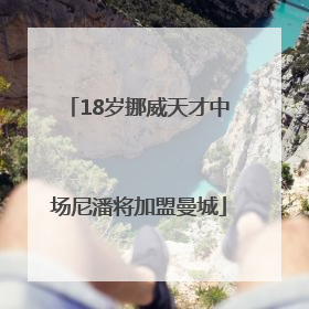 18岁挪威天才中场尼潘将加盟曼城