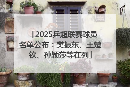 2025乒超联赛球员名单公布：樊振东、王楚钦、孙颖莎等在列