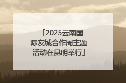 2025云南国际友城合作周主题活动在昆明举行