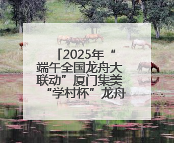 2025年“端午全国龙舟大联动”厦门集美“学村杯”龙舟联赛开赛