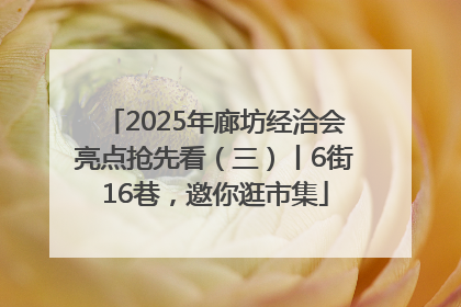 2025年廊坊经洽会亮点抢先看（三）丨6街16巷，邀你逛市集