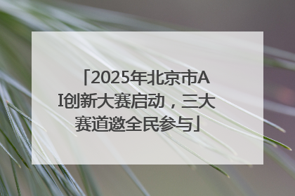 2025年北京市AI创新大赛启动，三大赛道邀全民参与
