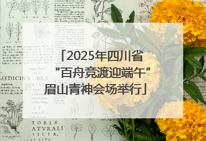 2025年四川省“百舟竞渡迎端午”眉山青神会场举行