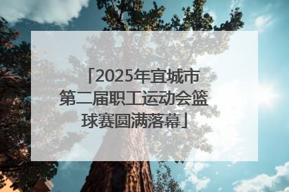 2025年宜城市第二届职工运动会篮球赛圆满落幕