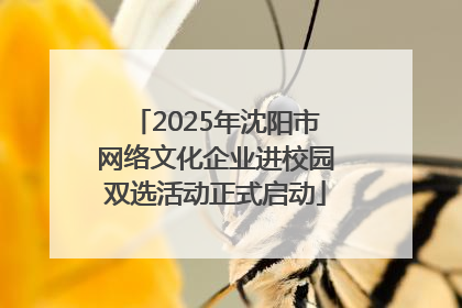 2025年沈阳市网络文化企业进校园双选活动正式启动