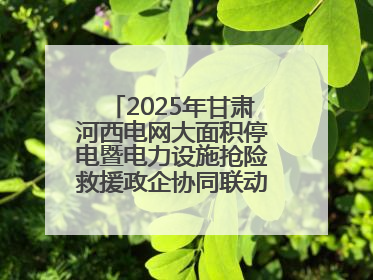 2025年甘肃河西电网大面积停电暨电力设施抢险救援政企协同联动综合应急演练在武威成功举行
