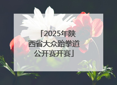 2025年陕西省大众跆拳道公开赛开赛