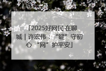 2025好网民·在聊城｜许宏伟：“键”守初心 “网”护平安