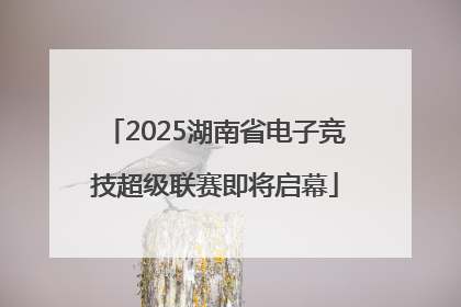 2025湖南省电子竞技超级联赛即将启幕