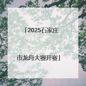 2025石家庄市龙舟大赛开赛