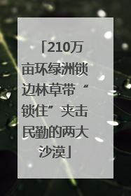 210万亩环绿洲锁边林草带“锁住”夹击民勤的两大沙漠