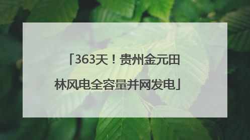 363天！贵州金元田林风电全容量并网发电