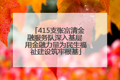 415支张富清金融服务队深入基层 用金融力量为民生福祉建设筑牢根基